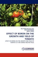 Effect of Boron on the Growth and Yield of Tomato af Raja Mohib Muazzam Naz