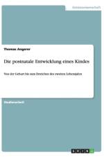 Die postnatale Entwicklung eines Kindes af Thomas Angerer