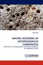Matrix Acidizing of Heterogeneous Carbonates af Ryan Keys