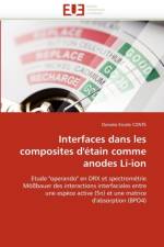 Interfaces Dans Les Composites d'' tain Comme Anodes Li-Ion af Conte-D