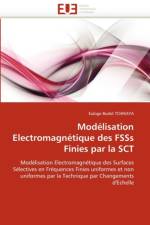 Mod lisation Electromagn tique Des Fsss Finies Par La Sct af Tchikaya-E