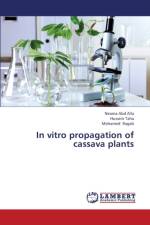 In Vitro Propagation of Cassava Plants af Taha Hussein