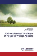 Electrochemical Treatment of Aqueous Wastes Agricole af Rachid Salghi