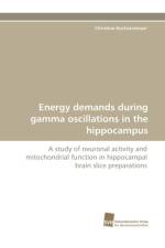 Energy demands during gamma oscillations in the hippocampus af Christine Huchzermeyer