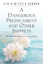 A Dangerous Predicament and Other Snippets af Mithila Kannan