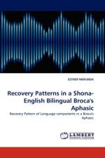 Recovery Patterns in a Shona- English Bilingual Broca's Aphasic af Esther Mafunda