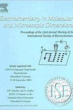 Electrochemistry in Molecular and Microscopic Dimensions
