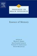 Essence of Memory