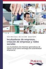 Incubadoras de empresas, creacion de empresas y redes sociales af Bravo Garcia Saulo
