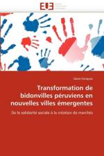 Transformation de Bidonvilles P ruviens En Nouvelles Villes  mergentes af Enriquez-D