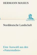 Norddeutsche Landschaft af Hermann Masius