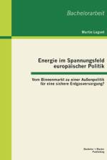 Energie im Spannungsfeld europaischer Politik af Martin Legant