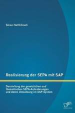 Realisierung der SEPA mit SAP af Soren Hellfritzsch
