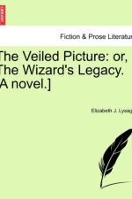 The Veiled Picture af Elizabeth J Lysaght