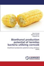 Bioethanol production potential of termites bacteria utilizing corncob af Amjad Maroof