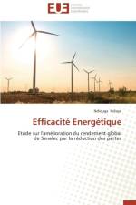 Efficacit  Energ tique af Ndiaye-N