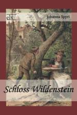 Schloss Wildenstein af Johanna Spyri
