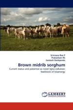 Brown Midrib Sorghum af Srinivasa Rao P