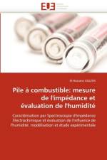 Pile   Combustible af Aglzim-E