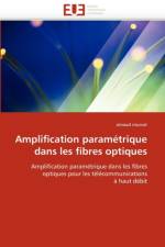 Amplification Param trique Dans Les Fibres Optiques af Mussot-A