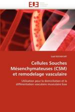 Cellules Souches M senchymateuses (Csm) Et Remodelage Vasculaire af Rochefort-G