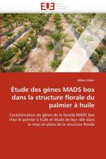tude Des G nes Mads Box Dans La Structure Florale Du Palmier   Huile af Adam-H