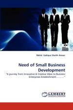 Need of Small Business Development af Mohd Sadique Shaikh Anwar