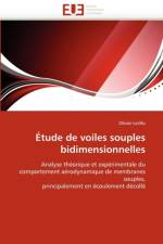 tude de Voiles Souples Bidimensionnelles af Lorillu-O