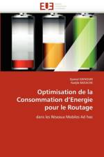 Optimisation de la Consommation D Energie Pour Le Routage af Collectif