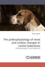 The pathophysiology of renal and cardiac changes in canine babesiosis af Remo Lobetti