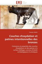 Couches d'Oxydation Et Patines Intentionnelles Des Bronzes af Mathis-F