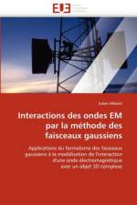 Interactions Des Ondes Em Par La M thode Des Faisceaux Gaussiens af Hillairet-J