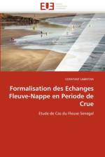 Formalisation des echanges fleuve-nappe en periode de crue af Labintan-C