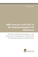 MBP Interacts with Pip2 at the Oligodendroglial Cell Membrane af Schanila Nawaz