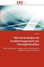 Microm canique de l''endommagement Par Homog n isation af Zhu-Q