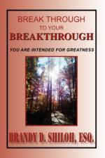 Break Through to Your Breakthrough af Brandy D Esq Shiloh