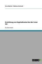 Ermittlung von Kapitalkosten bei der Linos AG af Arno Melcher