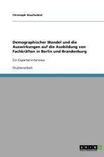 Demographischer Wandel und die Auswirkungen auf die Ausbildung von Fachkraften in Berlin und Brandenburg af Christoph Staufenbiel