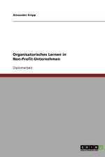Organisatorisches Lernen in Non-Profit-Unternehmen af Alexander Knipp