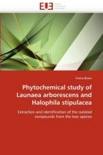Phytochemical study of launaea arborescens and halophila stipulacea af Bitam-F