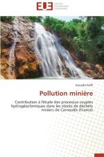 Pollution Mini re af Koffi-K