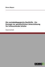 Sozialpadagogische Nachhilfe. Ein Konzept Zur Ganzheitlichen Unterstutzung Fur Hilfesuchende Schuler af Bianca Wagner