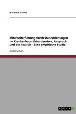 Mitarbeiterfuhrung Durch Stationsleitungen Im Krankenhaus. Erfordernisse, Anspruch Und Die Realitat af Mechthild Gerdes