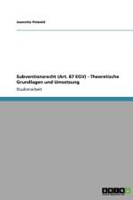 Subventionsrecht (Art. 87 Egv) - Theoretische Grundlagen Und Umsetzung af Jeanette Petzold