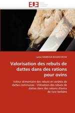 Valorisation Des Rebuts de Dattes Dans Des Rations Pour Ovins af Mebirouk-Boudechiche-L