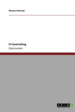It-Controlling af Oksana Kolisnyk