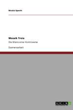 Mosaik Troia. Die Bilanz Einer Kontroverse Um Die Geschichte Einer Stadt af Nicolai Specht