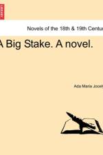 A Big Stake. a Novel.