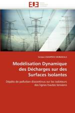 Mod lisation Dynamique Des D charges Sur Des Surfaces Isolantes af Diampeni