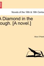 A Diamond in the Rough. [A Novel.]
